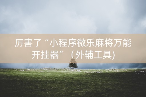 厉害了“小程序微乐麻将万能开挂器”（外辅工具)