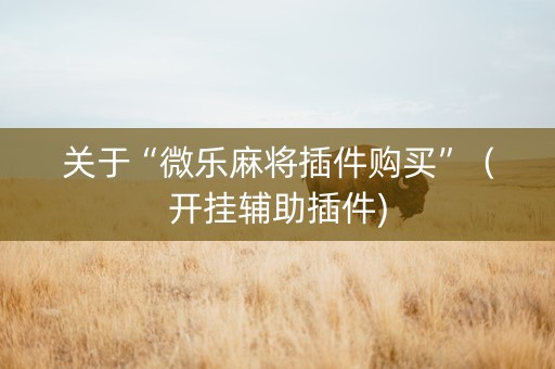 关于“微乐麻将插件购买”（开挂辅助插件)