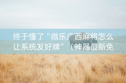 终于懂了“微乐广西麻将怎么让系统发好牌”（神器最新免费)