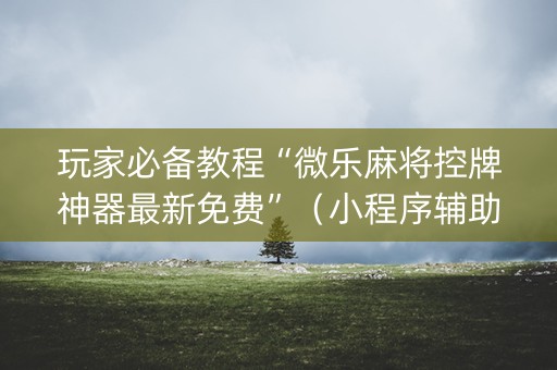 玩家必备教程“微乐麻将控牌神器最新免费”（小程序辅助软件)