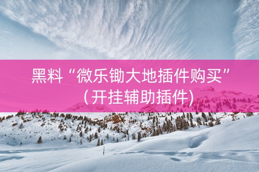 黑料“微乐锄大地插件购买”（开挂辅助插件)