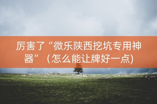 厉害了“微乐陕西挖坑专用神器”（怎么能让牌好一点)
