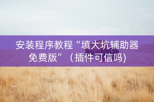 安装程序教程“填大坑辅助器免费版”（插件可信吗)