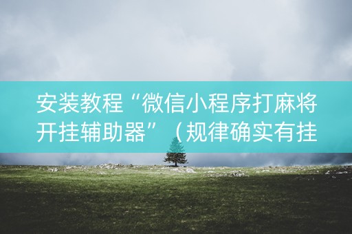 安装教程“微信小程序打麻将开挂辅助器”（规律确实有挂)