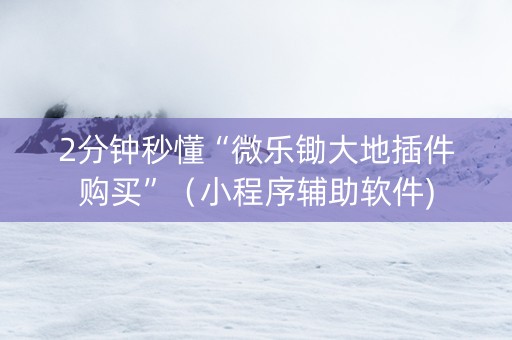 2分钟秒懂“微乐锄大地插件购买”（小程序辅助软件)