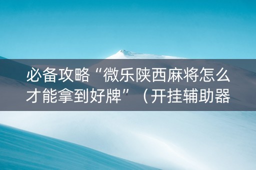必备攻略“微乐陕西麻将怎么才能拿到好牌”（开挂辅助器插件)