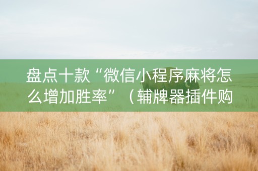 盘点十款“微信小程序麻将怎么增加胜率”（辅牌器插件购买)