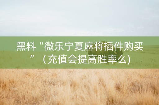 黑料“微乐宁夏麻将插件购买”（充值会提高胜率么)
