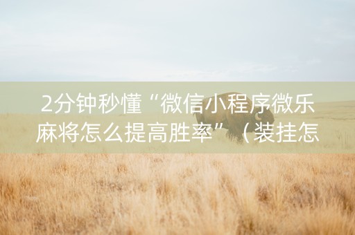 2分钟秒懂“微信小程序微乐麻将怎么提高胜率”（装挂怎么安装)