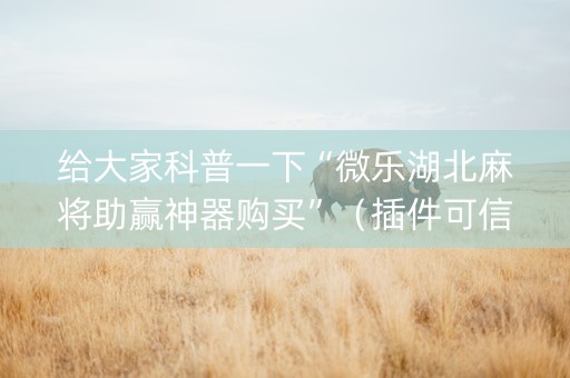 给大家科普一下“微乐湖北麻将助赢神器购买”（插件可信吗)