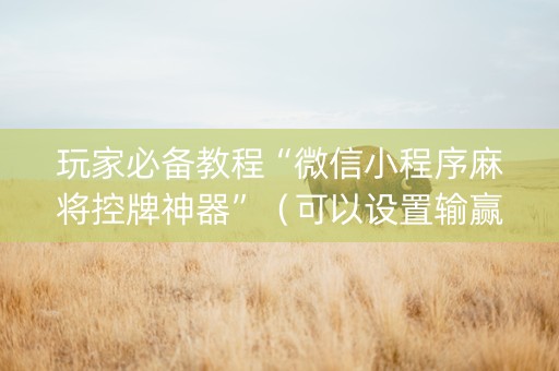 玩家必备教程“微信小程序麻将控牌神器”（可以设置输赢吗)
