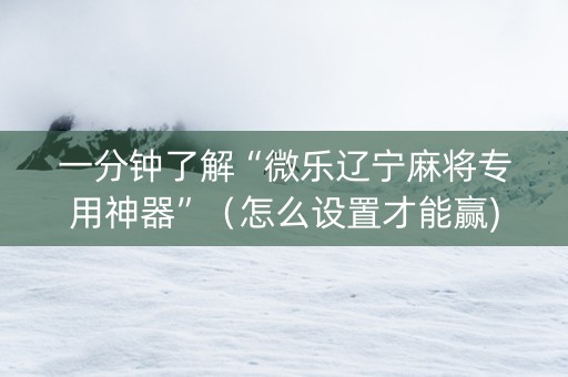 一分钟了解“微乐辽宁麻将专用神器”（怎么设置才能赢)