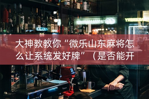 大神教教你“微乐山东麻将怎么让系统发好牌”（是否能开挂)