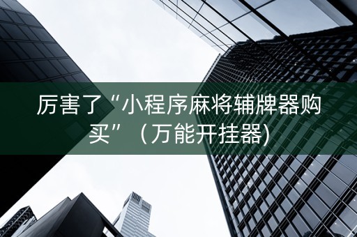 厉害了“小程序麻将辅牌器购买”（万能开挂器)