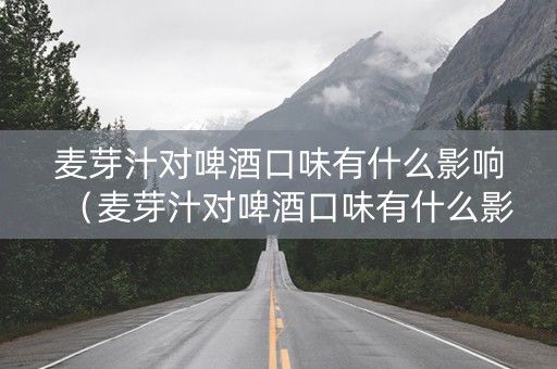 麦芽汁对啤酒口味有什么影响（麦芽汁对啤酒口味有什么影响吗）