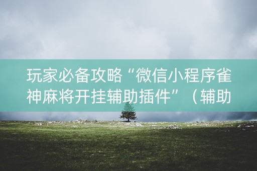 玩家必备攻略“微信小程序雀神麻将开挂辅助插件”（辅助器通用版)