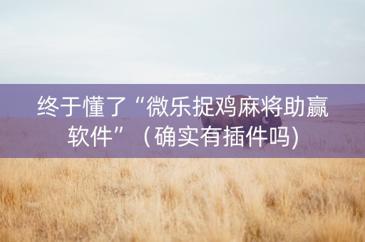 终于懂了“微乐捉鸡麻将助赢软件”（确实有插件吗)