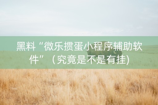 黑料“微乐掼蛋小程序辅助软件”（究竟是不是有挂)