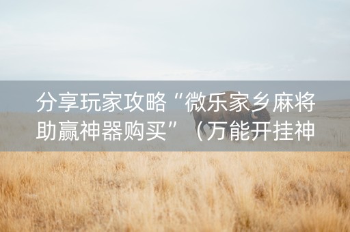 分享玩家攻略“微乐家乡麻将助赢神器购买”（万能开挂神器)