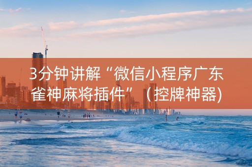 3分钟讲解“微信小程序广东雀神麻将插件”（控牌神器)