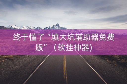终于懂了“填大坑辅助器免费版”（软挂神器)