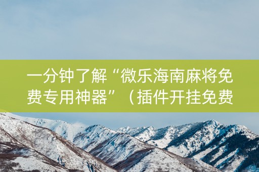一分钟了解“微乐海南麻将免费专用神器”（插件开挂免费AI)