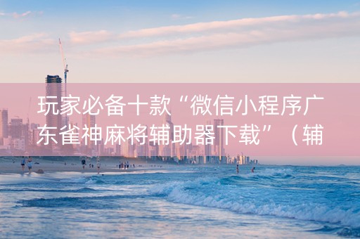 玩家必备十款“微信小程序广东雀神麻将辅助器下载”（辅牌器插件购买)