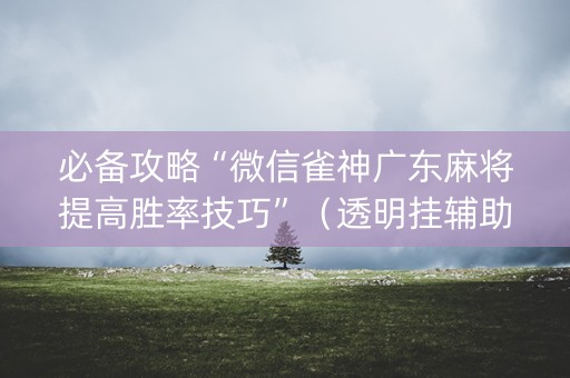 必备攻略“微信雀神广东麻将提高胜率技巧”（透明挂辅助器)