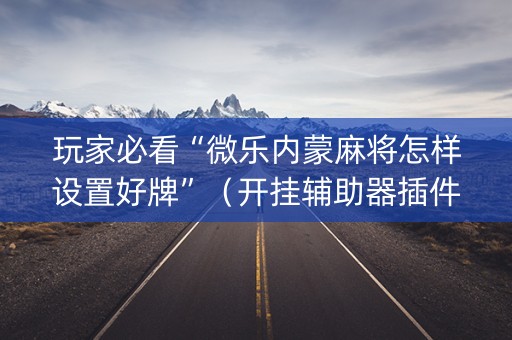玩家必看“微乐内蒙麻将怎样设置好牌”（开挂辅助器插件)