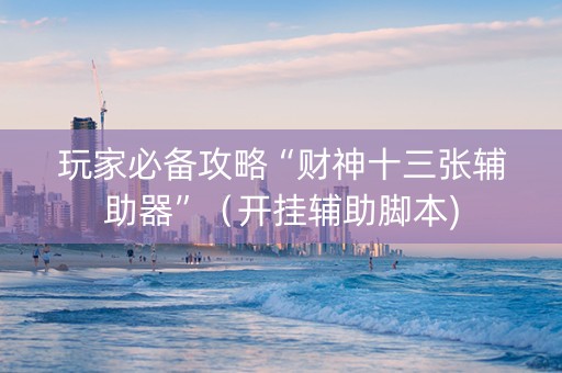 玩家必备攻略“财神十三张辅助器”（开挂辅助脚本)