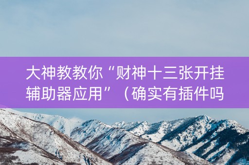 大神教教你“财神十三张开挂辅助器应用”（确实有插件吗)