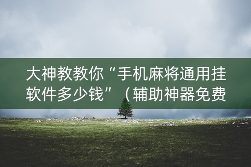 大神教教你“手机麻将通用挂软件多少钱”（辅助神器免费)