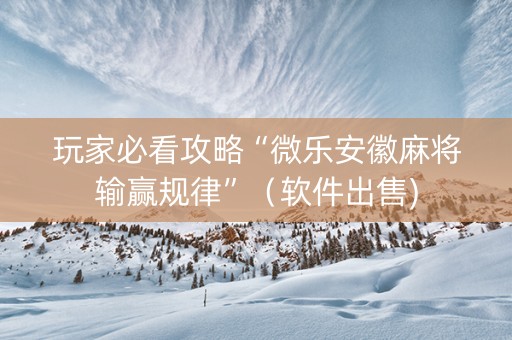 玩家必看攻略“微乐安徽麻将输赢规律”（软件出售)