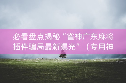 必看盘点揭秘“雀神广东麻将插件骗局最新曝光”（专用神器下载)