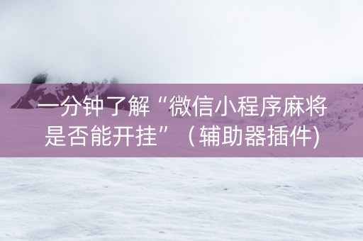 一分钟了解“微信小程序麻将是否能开挂”（辅助器插件)