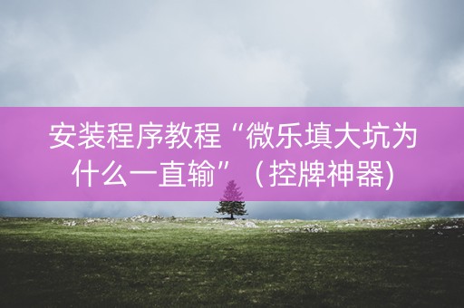 安装程序教程“微乐填大坑为什么一直输”（控牌神器)