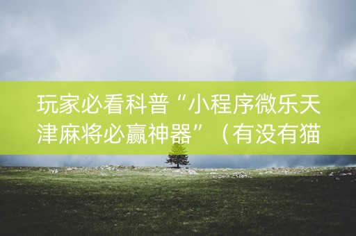 玩家必看科普“小程序微乐天津麻将必赢神器”（有没有猫腻)