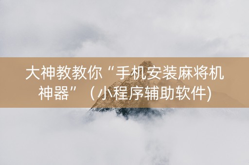 大神教教你“手机安装麻将机神器”（小程序辅助软件)