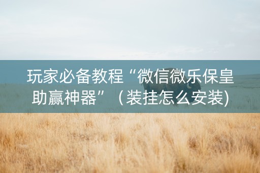 玩家必备教程“微信微乐保皇助赢神器”（装挂怎么安装)