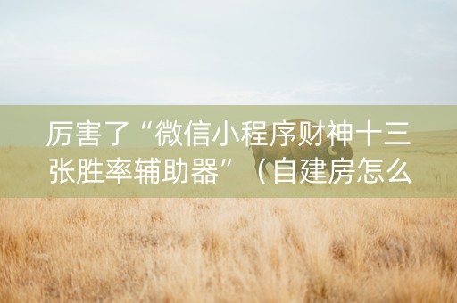 厉害了“微信小程序财神十三张胜率辅助器”（自建房怎么赢)