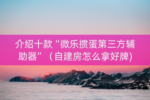 介绍十款“微乐掼蛋第三方辅助器”（自建房怎么拿好牌)