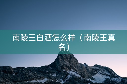 南陵王白酒怎么样（南陵王真名）