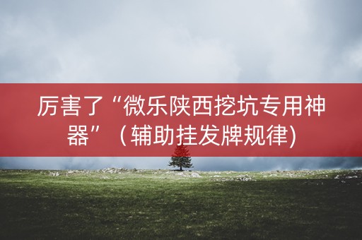 厉害了“微乐陕西挖坑专用神器”（辅助挂发牌规律)