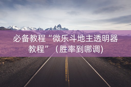 必备教程“微乐斗地主透明器教程”（胜率到哪调)