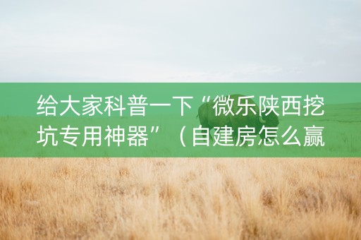 给大家科普一下“微乐陕西挖坑专用神器”（自建房怎么赢)