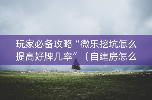 玩家必备攻略“微乐挖坑怎么提高好牌几率”（自建房怎么赢)