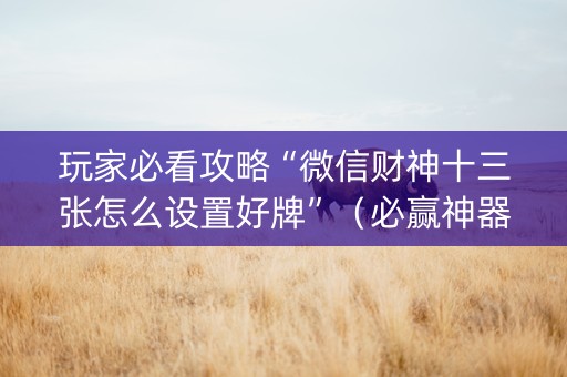 玩家必看攻略“微信财神十三张怎么设置好牌”（必赢神器辅助器)