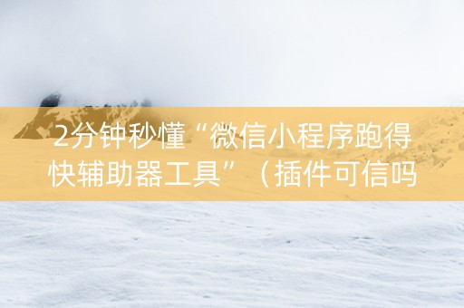 2分钟秒懂“微信小程序跑得快辅助器工具”（插件可信吗)