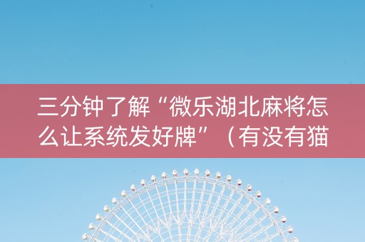 三分钟了解“微乐湖北麻将怎么让系统发好牌”（有没有猫腻)