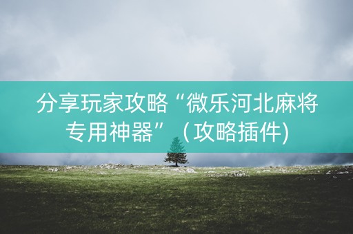 分享玩家攻略“微乐河北麻将专用神器”（攻略插件)